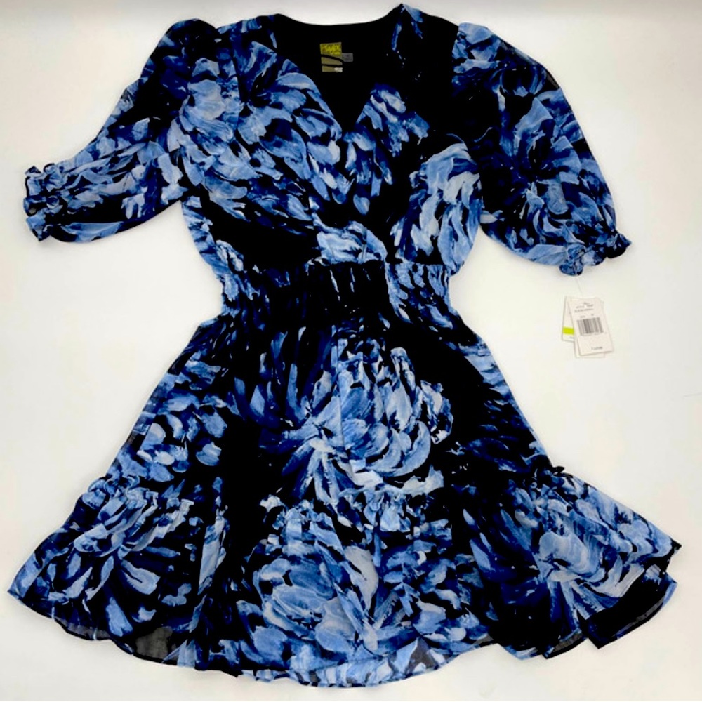 New Taylor Blue Floral Chiffon Pullover Dress